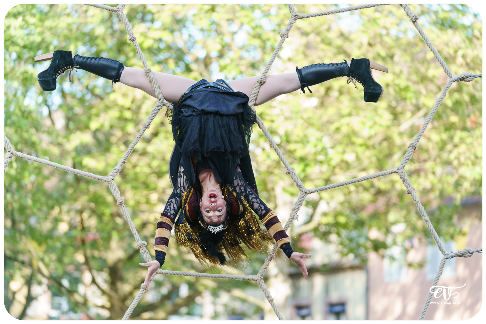 TO BEE QUEEN (CIE LADY COCKTAIL)